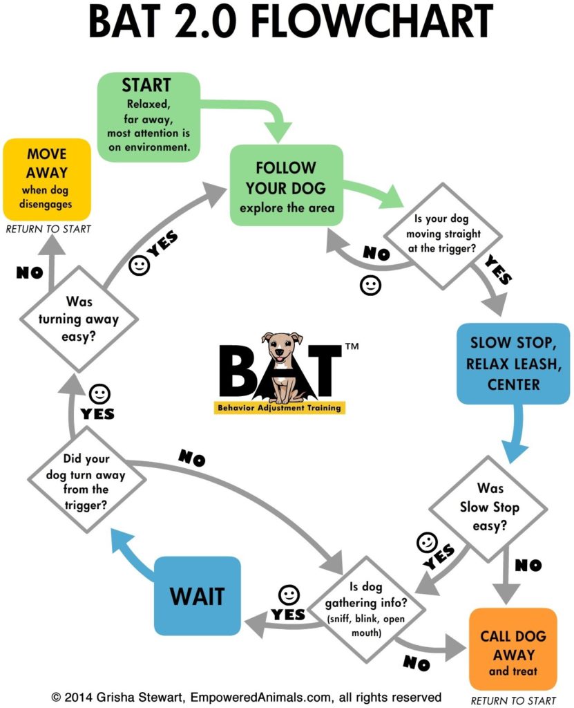 BAT Basics Dog Training 101